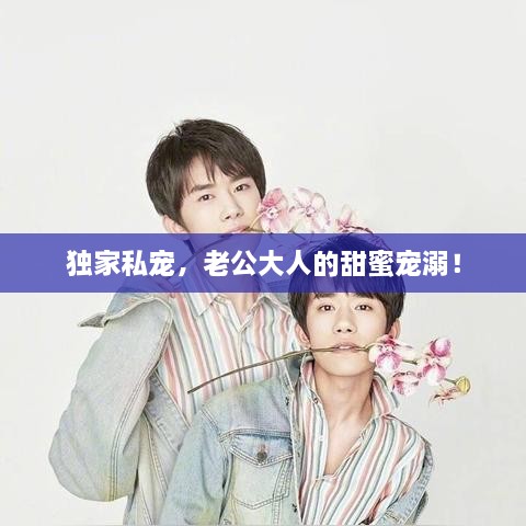 獨家私寵，老公大人的甜蜜寵溺！