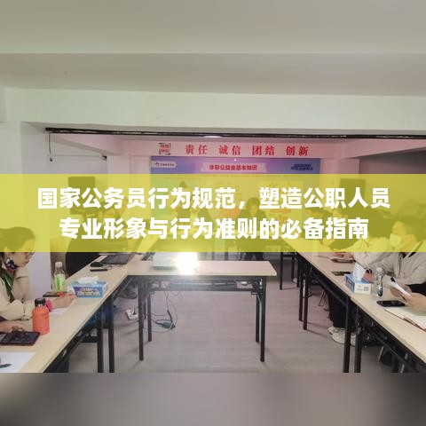 國家公務(wù)員行為規(guī)范，塑造公職人員專業(yè)形象與行為準(zhǔn)則的必備指南