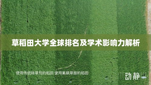草稻田大學(xué)全球排名及學(xué)術(shù)影響力解析
