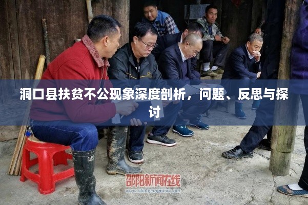 洞口縣扶貧不公現(xiàn)象深度剖析，問(wèn)題、反思與探討