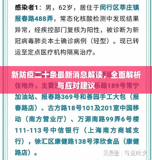 新防疫二十條最新消息解讀，全面解析與應(yīng)對建議