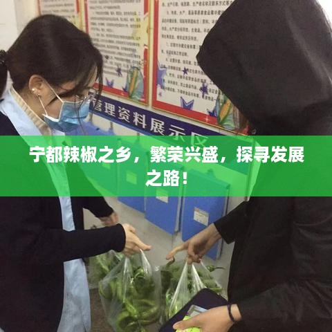 寧都辣椒之鄉(xiāng)，繁榮興盛，探尋發(fā)展之路！