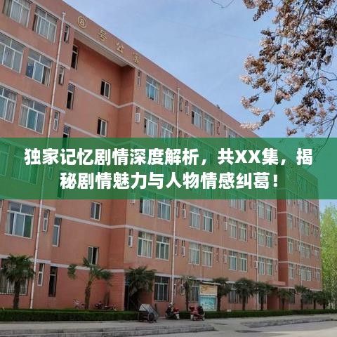 獨家記憶劇情深度解析，共XX集，揭秘劇情魅力與人物情感糾葛！