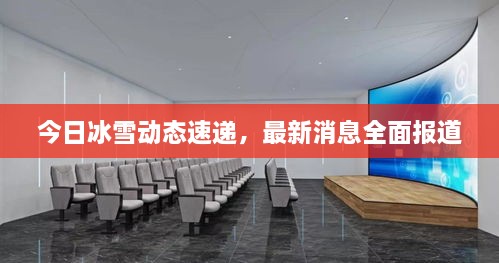今日冰雪動態(tài)速遞，最新消息全面報道