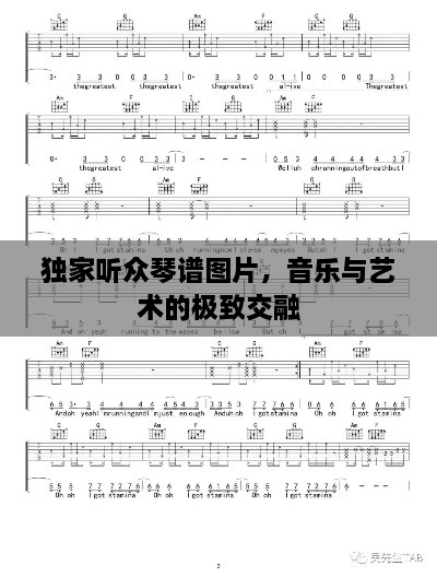 獨(dú)家聽(tīng)眾琴譜圖片，音樂(lè)與藝術(shù)的極致交融