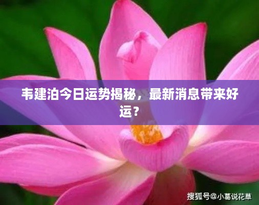 韋建泊今日運(yùn)勢(shì)揭秘，最新消息帶來(lái)好運(yùn)？