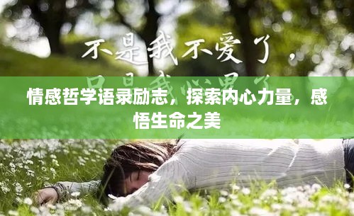 情感哲學(xué)語錄勵(lì)志，探索內(nèi)心力量，感悟生命之美