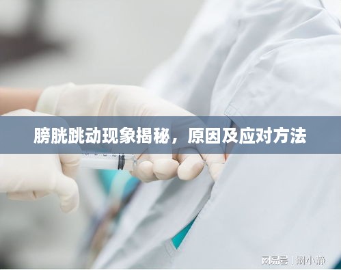 膀胱跳動現(xiàn)象揭秘，原因及應(yīng)對方法