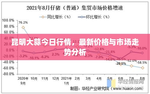 昆明大蒜今日行情，最新價(jià)格與市場(chǎng)走勢(shì)分析