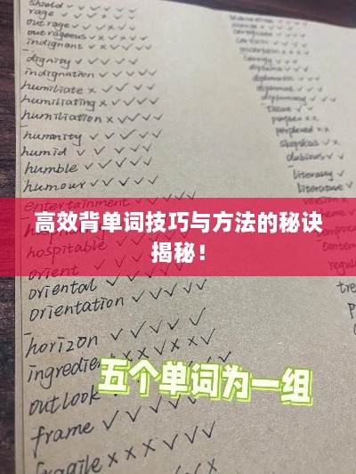 高效背單詞技巧與方法的秘訣揭秘！