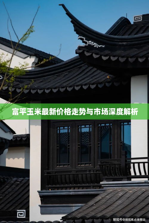 富平玉米最新價(jià)格走勢(shì)與市場(chǎng)深度解析