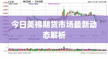 今日美棉期貨市場最新動態(tài)解析
