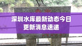深圳水庫最新動態(tài)今日更新消息速遞