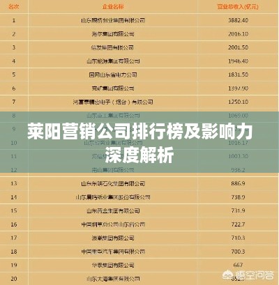 萊陽(yáng)營(yíng)銷公司排行榜及影響力深度解析