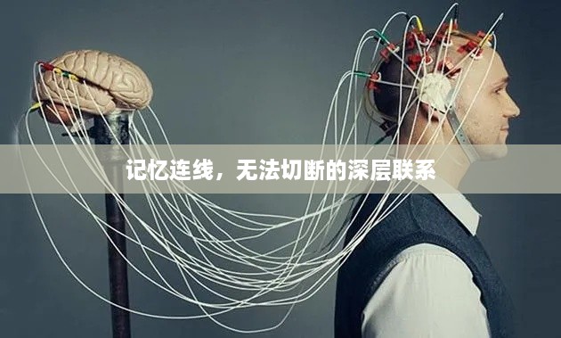 記憶連線，無法切斷的深層聯(lián)系