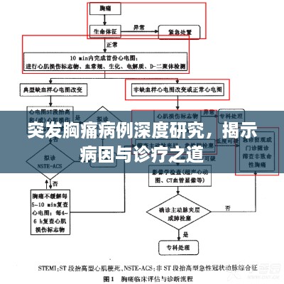 突發(fā)胸痛病例深度研究，揭示病因與診療之道