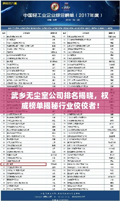 武鄉(xiāng)無塵室公司排名揭曉，權威榜單揭秘行業(yè)佼佼者！