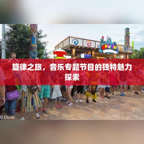旋律之旅，音樂專題節(jié)目的獨特魅力探索