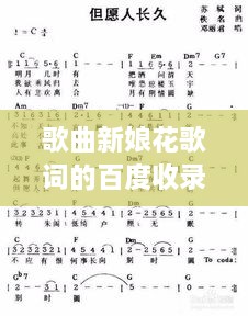 歌曲新娘花歌詞的百度收錄之旅，探尋美麗花語與浪漫旋律的融合