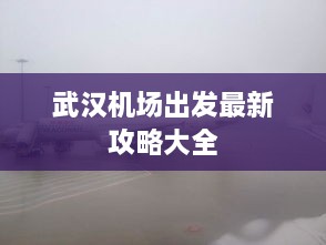 武漢機場出發(fā)最新攻略大全