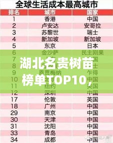湖北名貴樹(shù)苗榜單TOP10，探尋十大珍稀樹(shù)苗的排名與魅力
