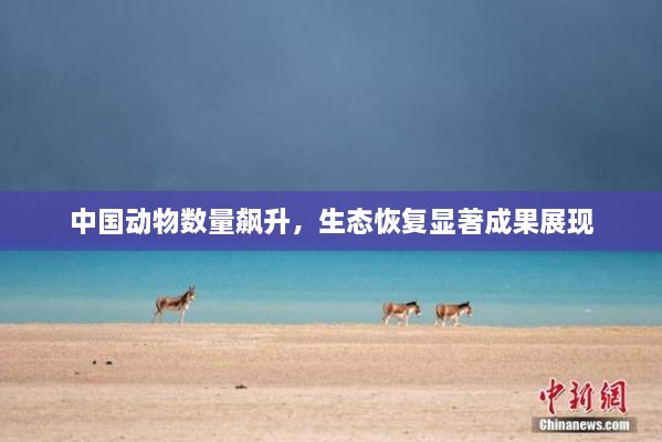 中國動物數(shù)量飆升，生態(tài)恢復(fù)顯著成果展現(xiàn)