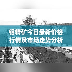 鉬精礦今日最新價格行情及市場走勢分析與展望