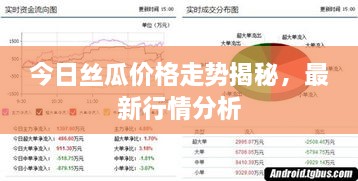 今日絲瓜價格走勢揭秘，最新行情分析