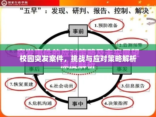 校園突發(fā)案件，挑戰(zhàn)與應(yīng)對(duì)策略解析