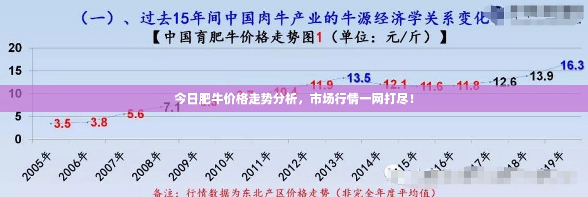 今日肥牛價格走勢分析，市場行情一網(wǎng)打盡！