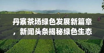 丹寨茶場(chǎng)綠色發(fā)展新篇章，新聞?lì)^條揭秘綠色生態(tài)之旅