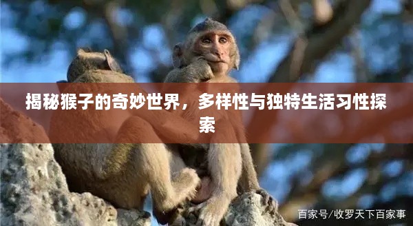 揭秘猴子的奇妙世界，多樣性與獨(dú)特生活習(xí)性探索