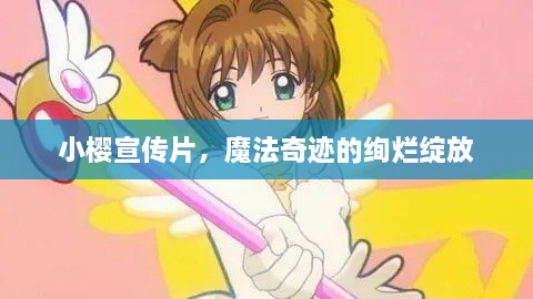 小櫻宣傳片，魔法奇跡的絢爛綻放