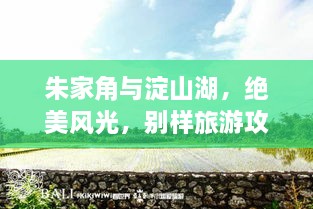 朱家角與淀山湖，絕美風(fēng)光，別樣旅游攻略體驗