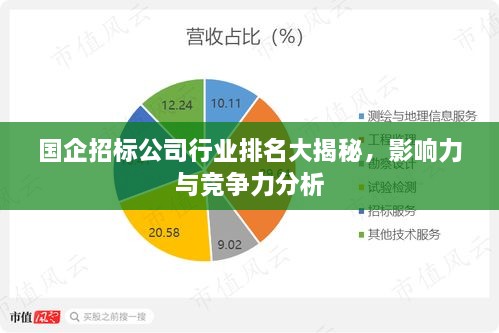 國(guó)企招標(biāo)公司行業(yè)排名大揭秘，影響力與競(jìng)爭(zhēng)力分析