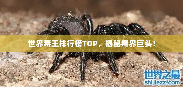 世界毒王排行榜TOP，揭秘毒界巨頭！