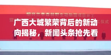 廣西大城繁榮背后的新動向揭秘，新聞頭條搶先看！