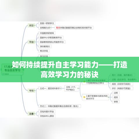 如何持續(xù)提升自主學習能力——打造高效學習力的秘訣