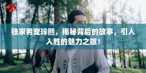 獨家男寵玲熙，揭秘背后的故事，引人入勝的魅力之旅！