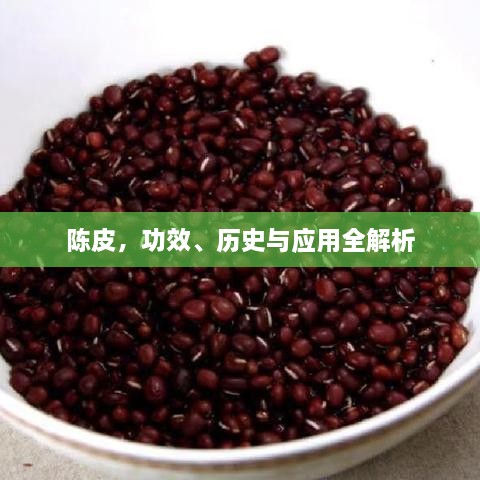 陳皮，功效、歷史與應(yīng)用全解析