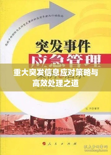 重大突發(fā)信息應(yīng)對(duì)策略與高效處理之道