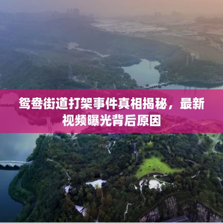 鴛鴦街道打架事件真相揭秘，最新視頻曝光背后原因