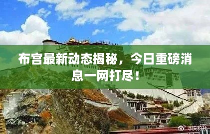 布宮最新動(dòng)態(tài)揭秘，今日重磅消息一網(wǎng)打盡！