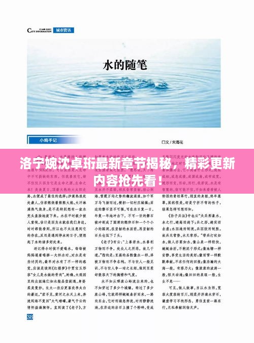 洛寧婉沈卓珩最新章節(jié)揭秘，精彩更新內(nèi)容搶先看！