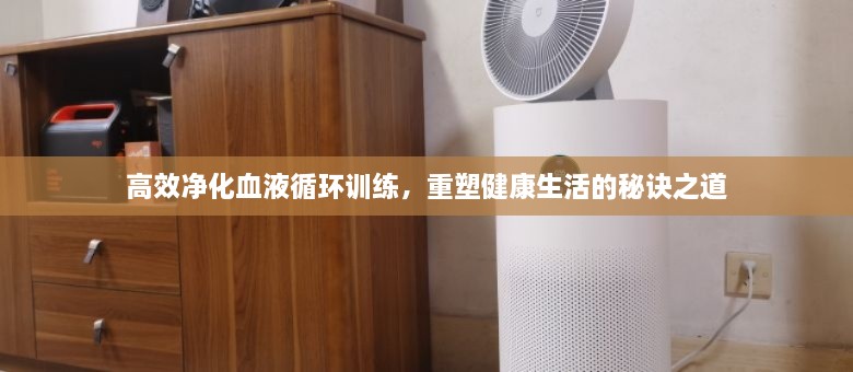 高效凈化血液循環(huán)訓(xùn)練，重塑健康生活的秘訣之道