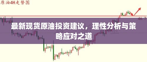 最新現(xiàn)貨原油投資建議，理性分析與策略應(yīng)對(duì)之道