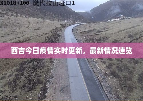 西吉今日疫情實時更新，最新情況速覽