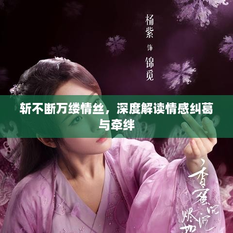 斬不斷萬縷情絲，深度解讀情感糾葛與牽絆