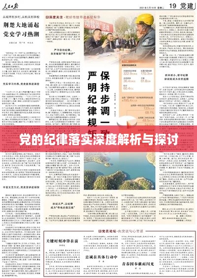 黨的紀(jì)律落實(shí)深度解析與探討