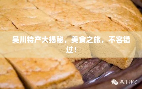 吳川特產(chǎn)大揭秘，美食之旅，不容錯過！